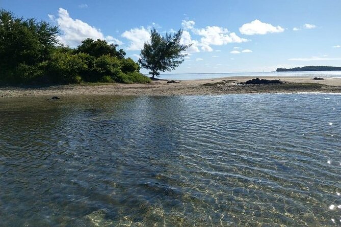 Full-Day Private Hiking le Morne Mountain & Seafood Lunch at Islet Fourneau - Hike Stop 2: The Dry Rough Terrain, Caves, and the Authorized-Guides Factor