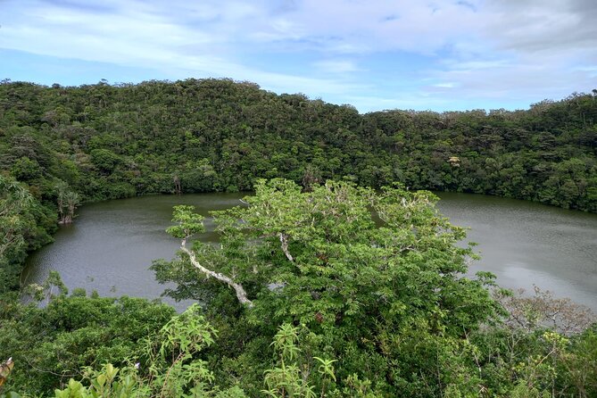 Full Day Private Tour in South of Mauritius - Stop 5 and 6: Grand Bassin and Curepipe, from sacred lake to City of Light shopping