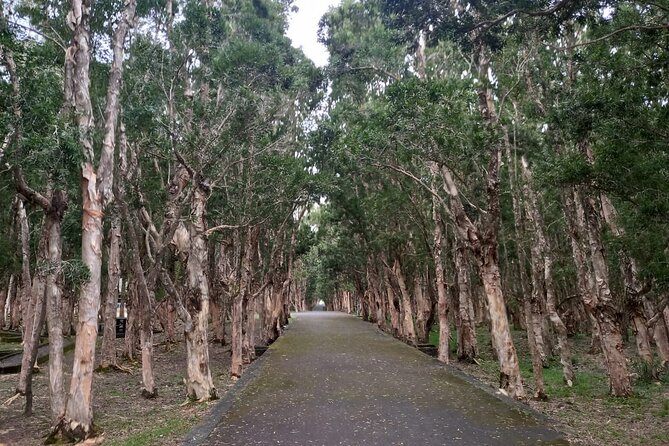 Full Day Private Tour in South of Mauritius - Price and value: what $99.57 covers, and what costs extra