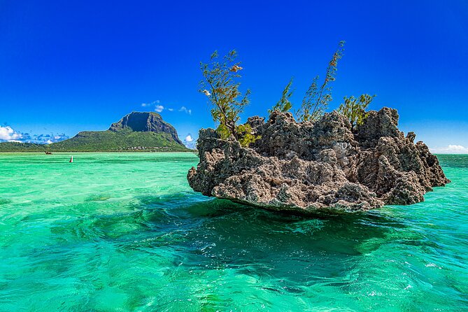 Full day Shared Speedboat Tour - South West Lagoon Dolphin Swim - Stop 3 on Ile aux Benitiers: 3-course BBQ lunch and real beach time
