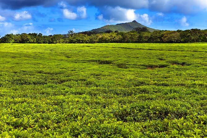 Full-Day South Tour of Mauritius, ALL INCLUSIVE Day Trip, Private SUV Car, Guide - Key things I’d plan around