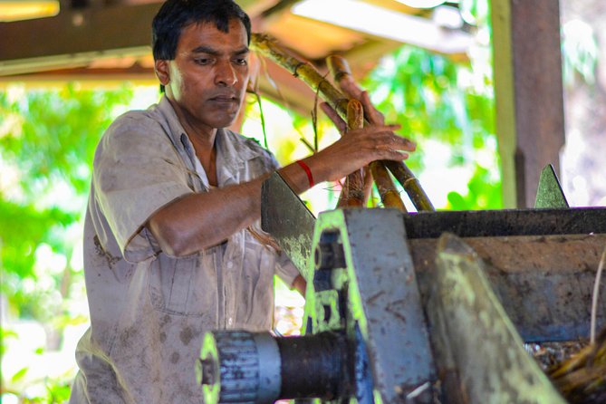 Full-Day South Tour of Mauritius, ALL INCLUSIVE Day Trip, Private SUV Car, Guide - Domaine des Aubineaux, A Colonial House Built From Old Ships