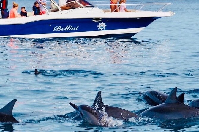 Fully Day Tour: Dolphin Encounters, Crystal Rock at Benitiers Island - Morning start: pickup, boats, and how to handle the meet-up