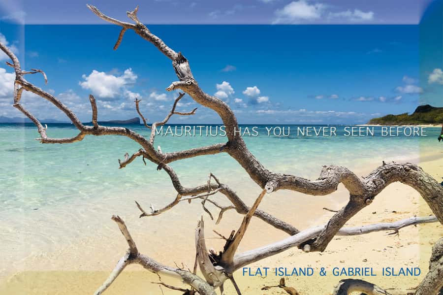 Grand Baie: Catamaran 3 Islands Cruise & Lunch on the Island - Snorkeling Time: Great Views, Self-Guided Pace, and One Big Reality