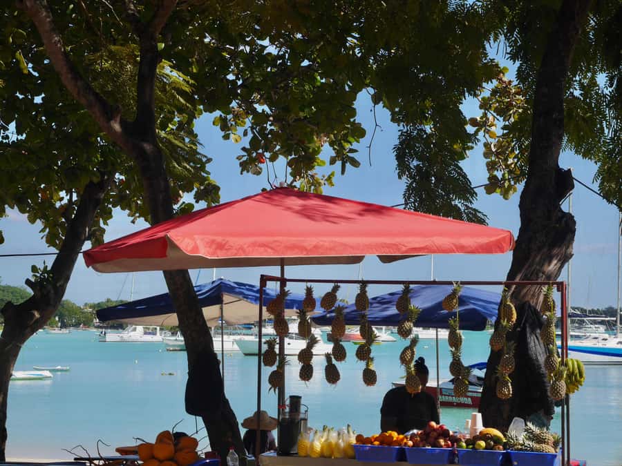 Grand Baie: Coastal Cuisine & Culture Walking Tour - Key Points You’ll Care About