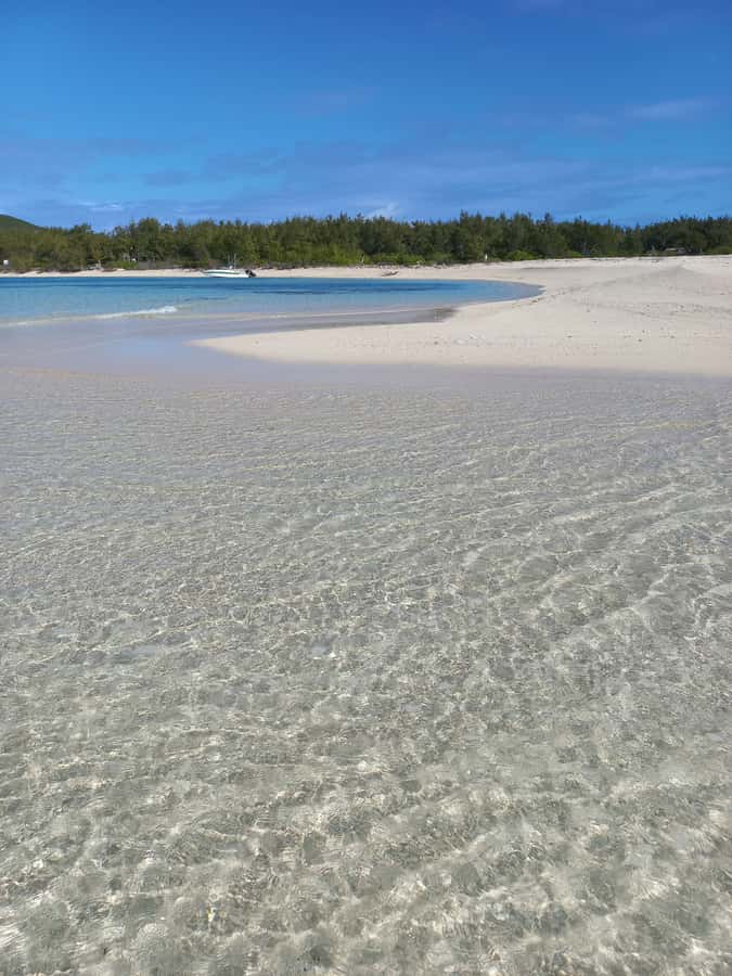 Grand Baie: Three Islands Private Boat Trip and Beach BBQ - Coin de Mire snorkeling: how to get the most out of the reef time