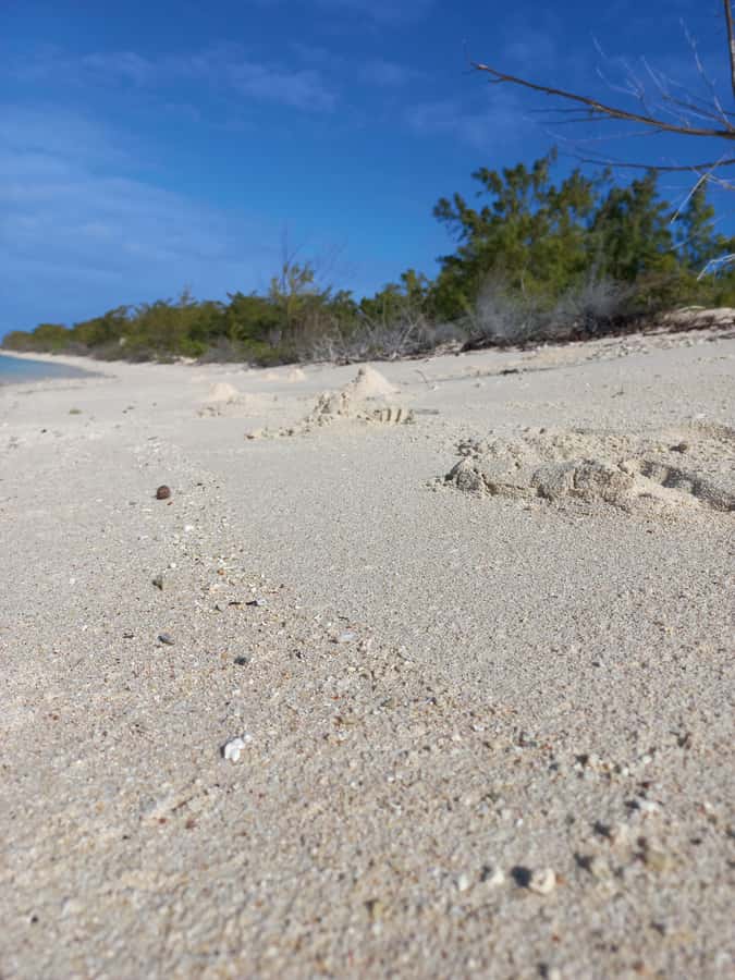 Grand Baie: Three Islands Private Boat Trip and Beach BBQ - Price and value: $883 per group up to 4, and who should split it