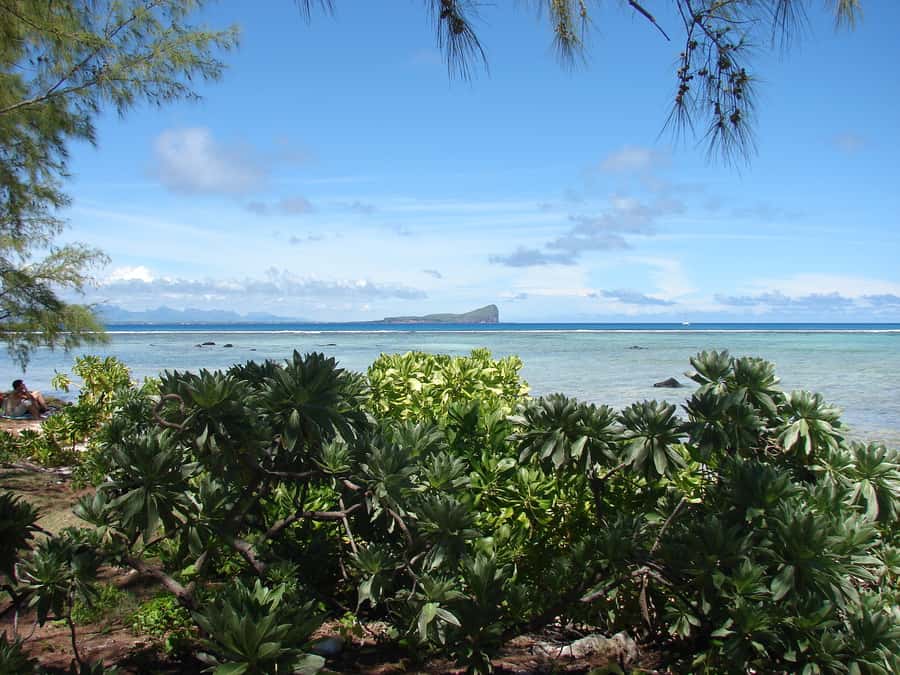 Grand Baie: Three Islands Private Boat Trip and Beach BBQ - From Grand Baie Public Beach to the islands: the morning rhythm