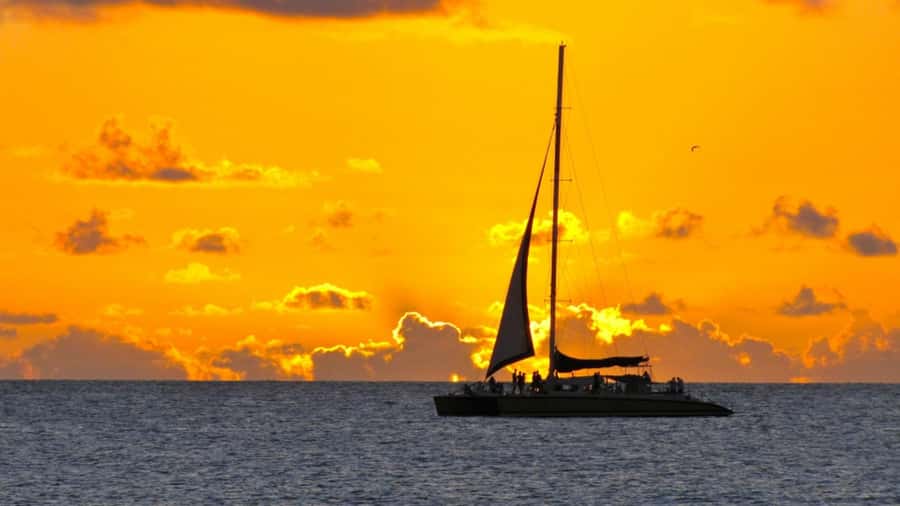 Grand Bay: BBQ Dinner on Catamaran & Short Sunset Tour - Logistics That Matter: Meeting Time, Crowds, And How To Reduce Risk