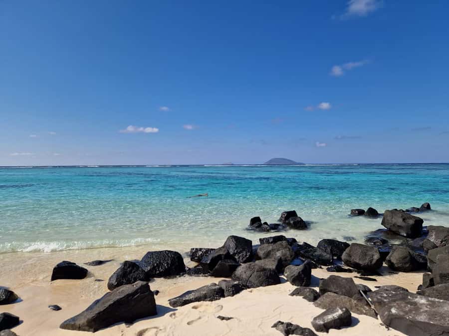 Grand Bay: Catamaran Cruise to Flat Island with BBQ Lunch - Snorkeling at Your Own Pace, Not a Rush Job