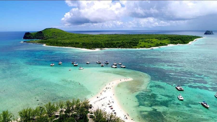 Grand Bay: Catamaran Cruise to Flat Island with BBQ Lunch - Who This Cruise Suits Best