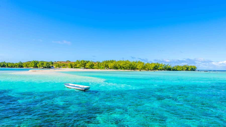 Grand Bay: Catamaran Cruise to Flat Island with BBQ Lunch - Getting Onboard: The Dinghy Transfer and What It Means for Your Day