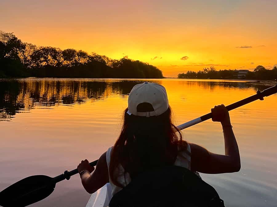 Guided Sundowner Kayak Tour - What Happens During the 90 Minutes: Paddle Up, Enjoy the Show, Paddle Back