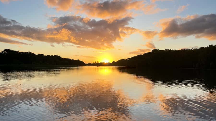 Guided Sundowner Kayak Tour - Mangrove-Lined Water in the Dimming Light