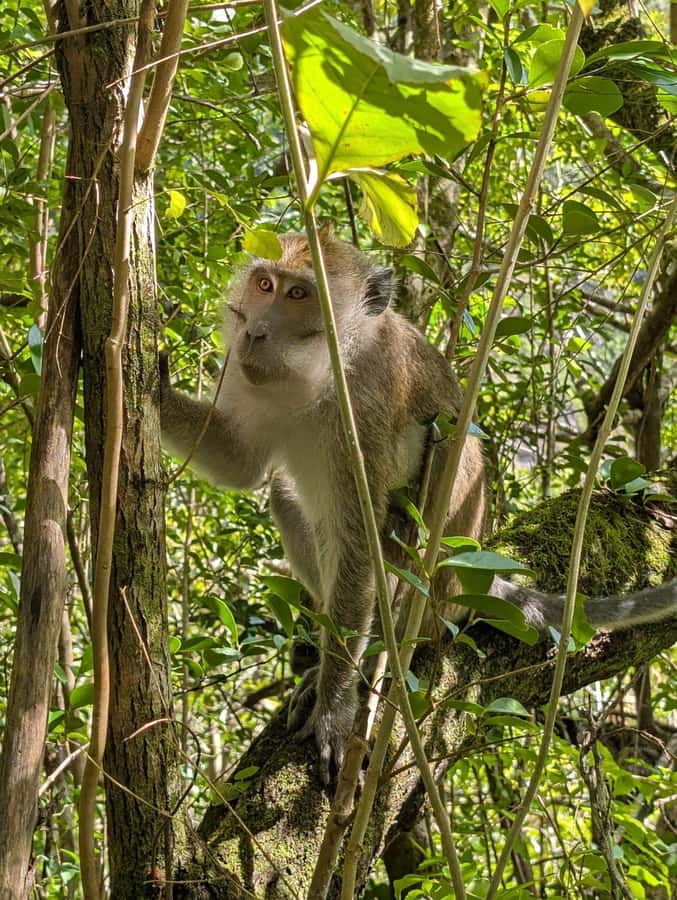 Henrietta: Hiking at the Tamarind Waterfalls - Safety, small group energy, and photo-friendly guides