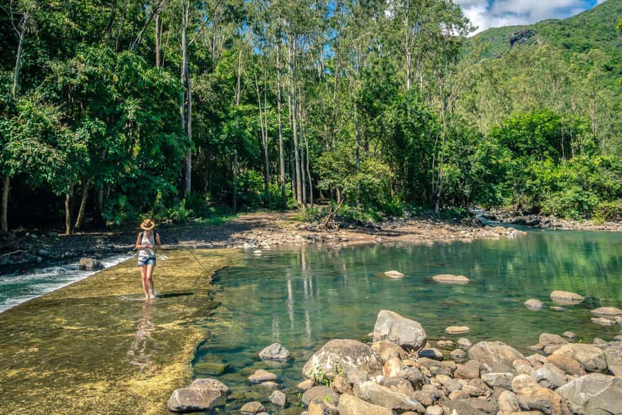Hiking the Black River Gorges: Full-day incl Lunch &Transfer - Key things to know before you go
