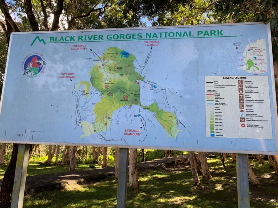 Hiking the Black River Gorges: Full-day incl Lunch &Transfer - Why Black River Gorges feels different from a typical nature walk