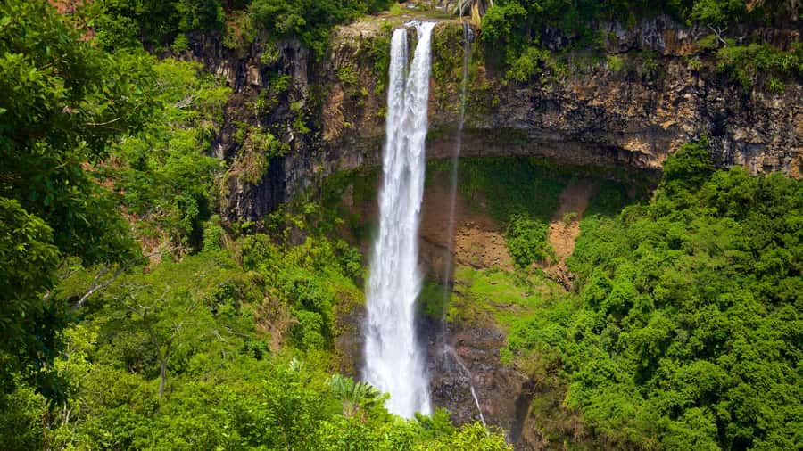 Hiking the Black River Gorges: Full-day incl Lunch &Transfer - The Machabee forest trail: easy walking with gorge-and-waterfall payoff