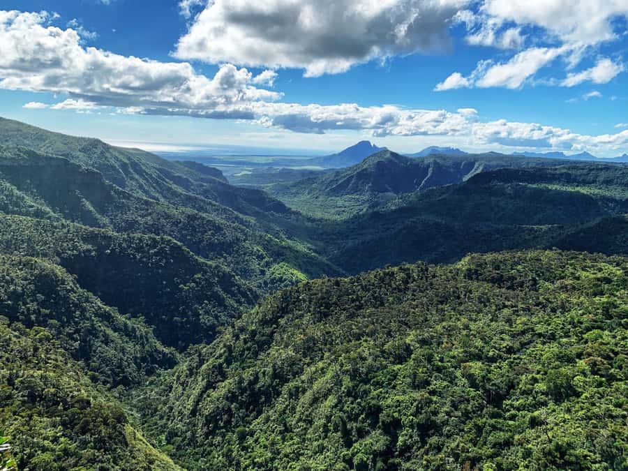 Hiking the Black River Gorges: Full-day incl Lunch &Transfer - Price and what $110 buys you in real terms