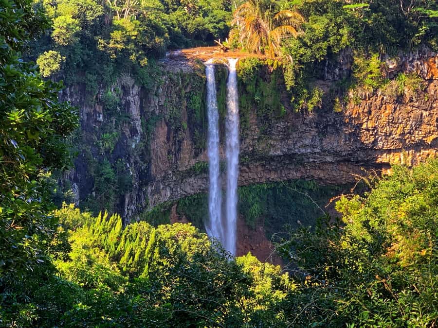 Hiking the Black River Gorges: Full-day incl Lunch &Transfer - Getting to the gorges, and how the day usually flows