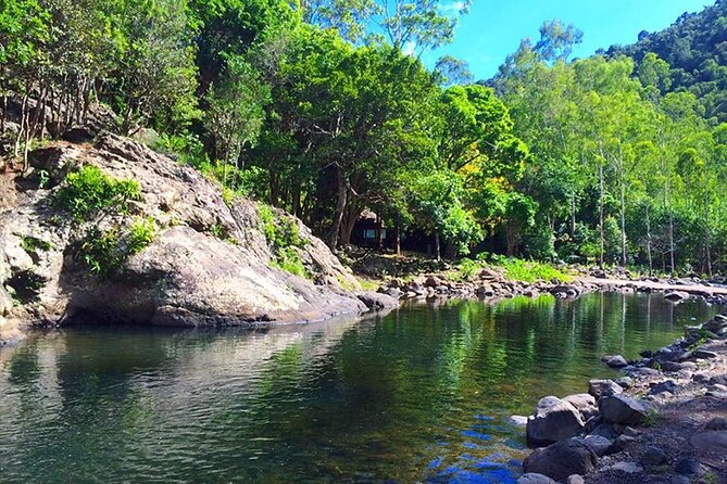 Hiking the Black River Gorges: Full-day with Lunch and Transfer - Why Black River Gorges Feels Like Mauritius’ Other Side