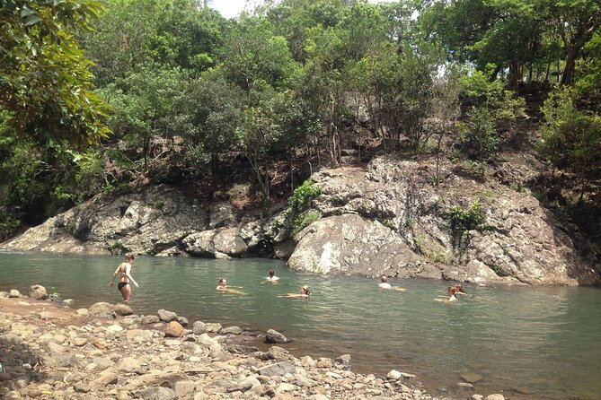 Hiking the Black River Gorges: Full-day with Lunch and Transfer - The Main Trail Through the Park: Endemic Plants, Bird Watching, and Shortcuts