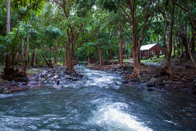 Hiking the Black River Gorges: Full-day with Lunch and Transfer - Gorge Views and Waterfalls: Where the Camera Time Actually Fits
