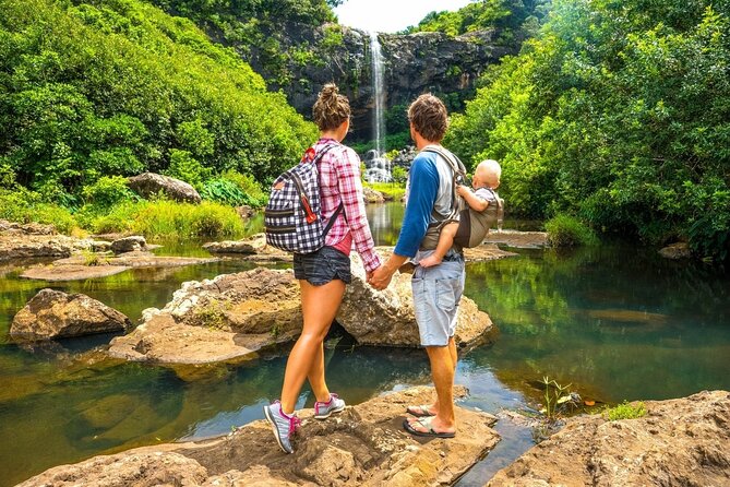 Hiking the Black River Gorges: Full-day with Lunch and Transfer - The Morning Start: Pickup, Private Ride, and What to Pack
