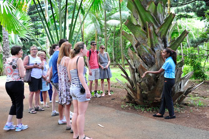 Historical Guided Day Tour : City - Sugar World - Botanical Garden - Getting Oriented: Pickup, Shared Group Flow, and Timing