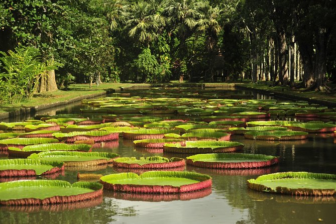 Historical Private Guided Tour, City-SugarWorld-Botanical Garden - Min.2 persons - Key highlights to know before you go