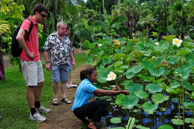 Historical Private Guided Tour, City-SugarWorld-Botanical Garden - Min.2 persons - Citadel Fort Adelaide at about 100 metres for Port Louis views