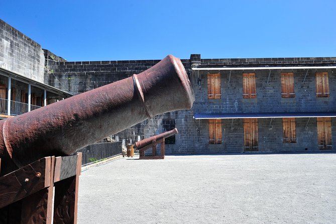 Historical Private Guided Tour, City-SugarWorld-Botanical Garden - Min.2 persons - Who this private Mauritius day trip suits best
