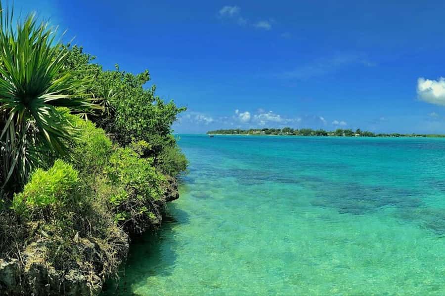 Ile aux Aigrettes Reserve & Blue Bay Glass Bottom Boat - From Your Hotel to Pointe Jérôme, then Across to Ile aux Aigrettes