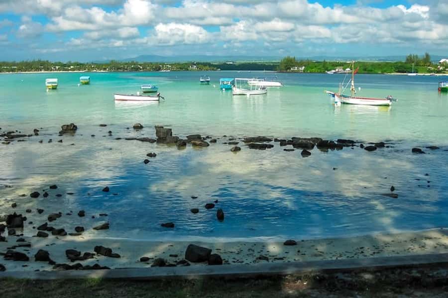 Ile aux Aigrettes Reserve & Blue Bay Glass Bottom Boat - Blue Bay Marine Park by Glass Bottom Boat: Reef Viewing Made Simple