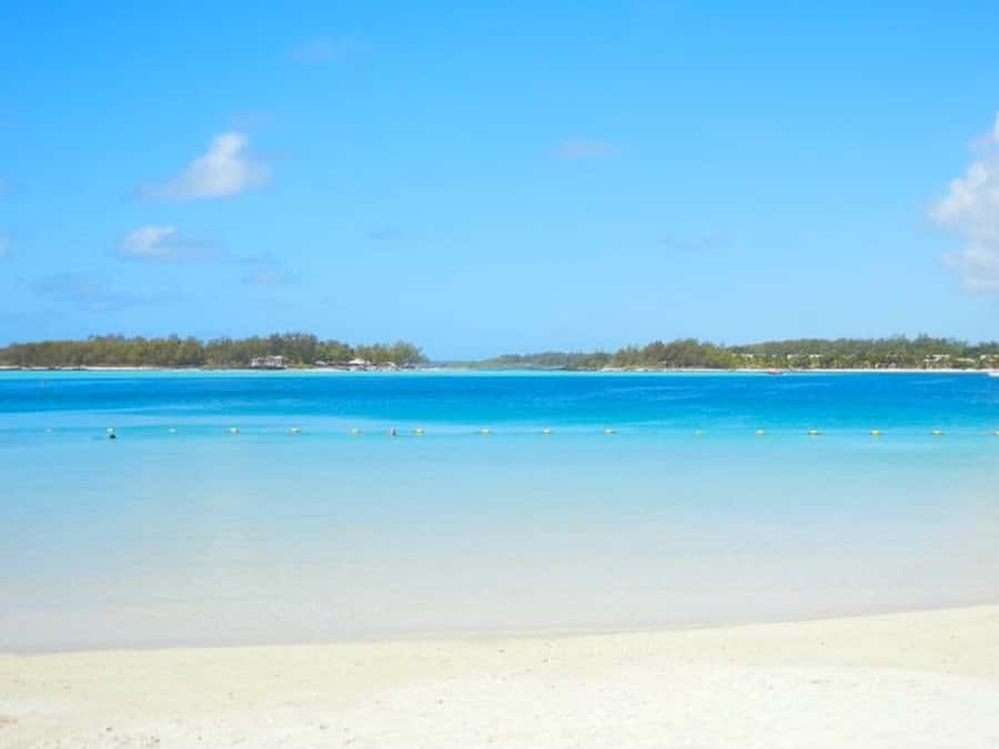 Ile aux Aigrettes Reserve & Blue Bay Glass Bottom Boat - Timing, Transport, and Group Size: the parts that can make or break the day