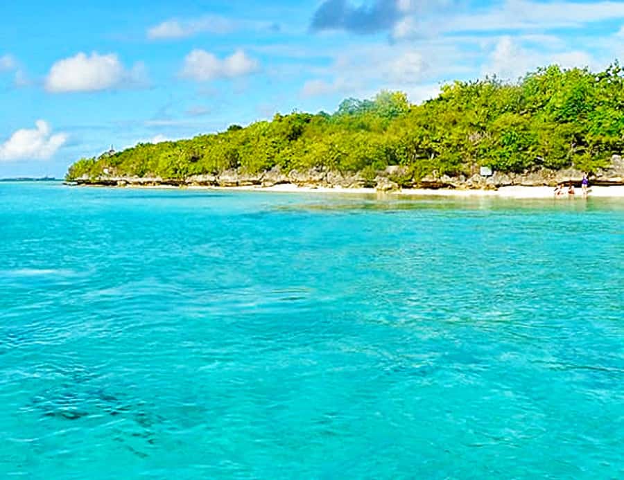 Ile aux Aigrettes Reserve & Blue Bay Glass Bottom Boat - Price and Value: what $137 really buys you in one day