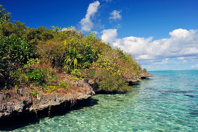 Ile aux Aigrettes - Tea Route - Gris Gris Private Guided Tour (Min. 2 persons) - Key Things To Know Before You Go