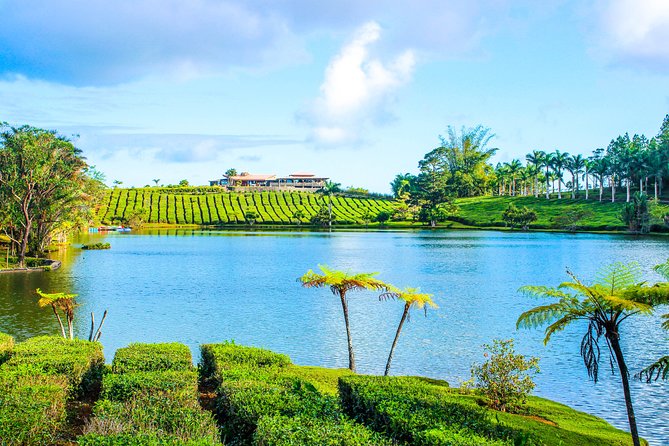 Ile aux Aigrettes - Tea Route - Gris Gris Private Guided Tour (Min. 2 persons) - Price, Admissions, and Why Private Can Be Worth It