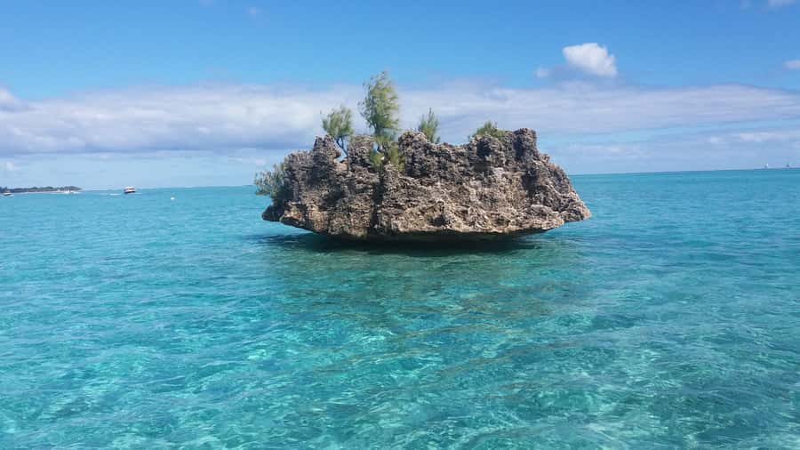 Île aux Bénitiers: Snorkeling w/Dolphins Boat Tour & Lunch - Group Rhythm, Comfort Tips, and Small Logistics