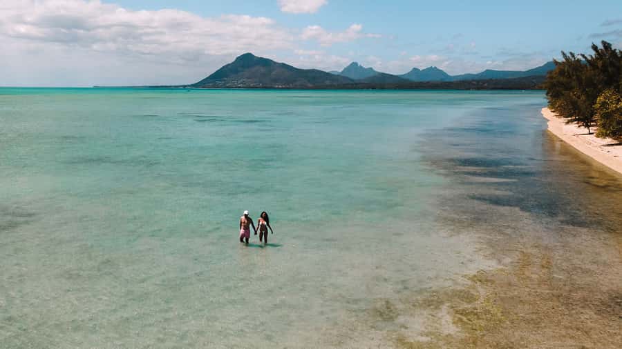 Île aux Bénitiers: Snorkeling w/Dolphins Boat Tour & Lunch - A Quick Reality Check on Dolphin Encounters