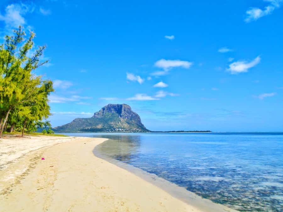Île aux Bénitiers: Snorkeling w/Dolphins Boat Tour & Lunch - Should You Book This Tour?