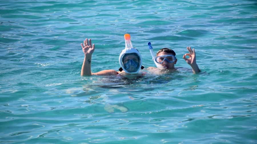 Île aux Bénitiers Snorkeling with Dolphins + Seafood Lunch - Crystal Rock snorkeling with Le Morne in the background