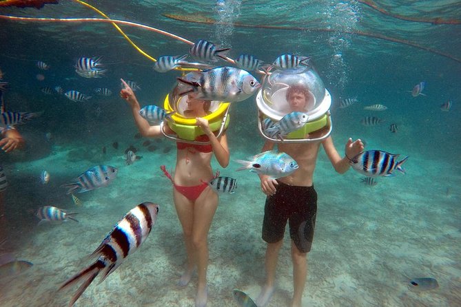 Ile aux Cerf: Speed boat with Parasailing & Tube Riding and Lunch - The big picture on Ile aux Cerfs by speedboat