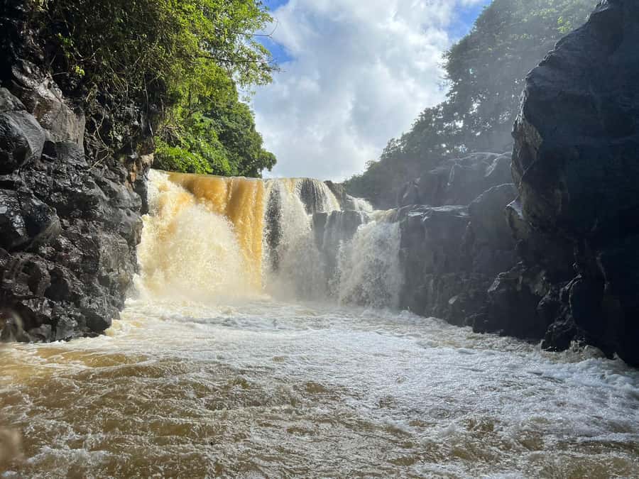 Ile Aux Cerfs: Catamaran Cruise, island, waterfalls, Lunch - Key Highlights You Should Know Before You Go