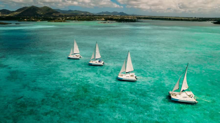Ile Aux Cerfs: Catamaran Cruise, island, waterfalls, Lunch - Ile aux Cerfs Beach Time: Snorkeling and Swimming When the Day Delivers