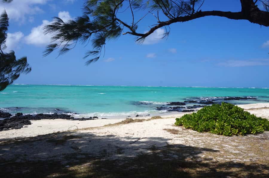 Ile Aux Cerfs Catamaran Cruise sailing from Mahebourg - Eau Bleu Snorkeling: Where the Ocean Color Does the Talking