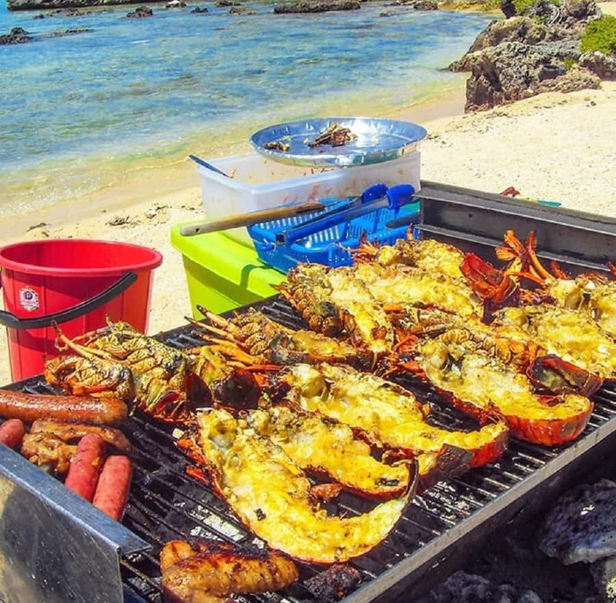 Ile Aux Cerfs Catamaran Cruise with Pick-up/Drop-off & Lunch - Crew and Transfers: Why Service Matters on a Catamaran Day