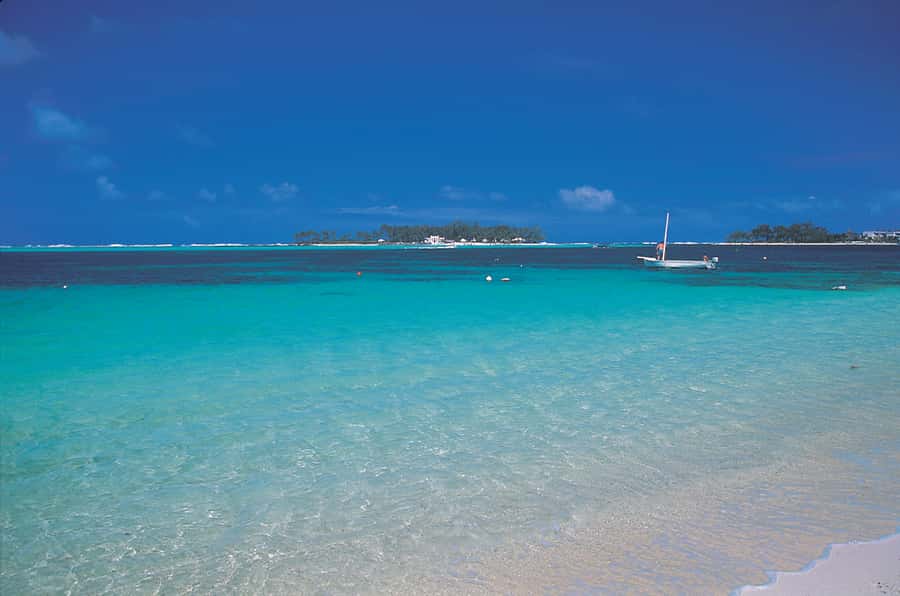 Ile aux Cerfs: Island & Waterfall Speedboat Tour with Lunch - Landing at Ile aux Cerfs: Beach Freedom, Realistic Expectations, and Monkeys
