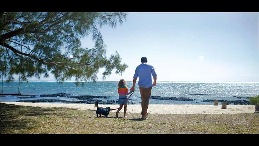 Ile aux cerfs: Private picnic, waterfall, bbq beach lunch - Ilot Mangenie BBQ Lunch, Drinks Included, and How to Time Your Appetite