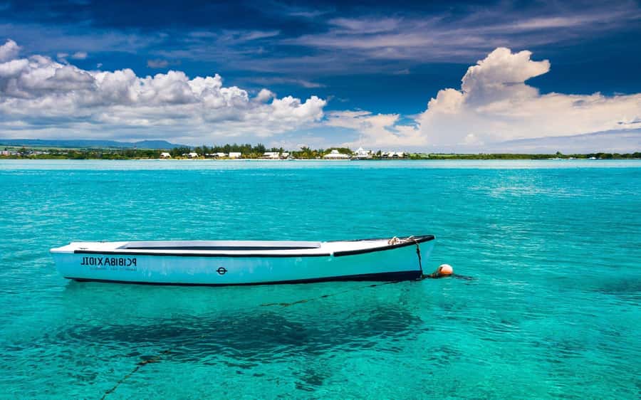 Ile aux cerfs: Private picnic, waterfall, bbq beach lunch - Meeting at Four A Chaux, Then Hopping Into Your Own Speedboat